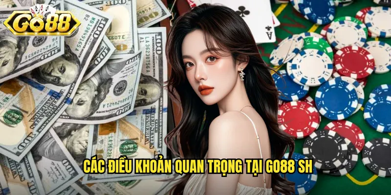 Các điều khoản quan trọng tại go88 sh