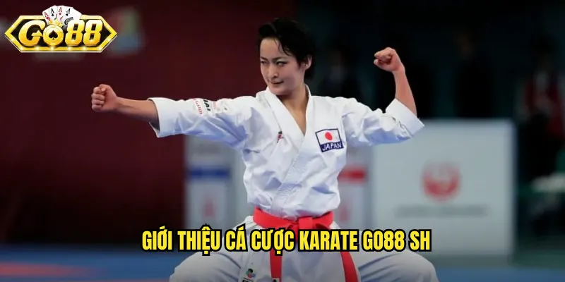 Giới thiệu cá cược karate go88 sh